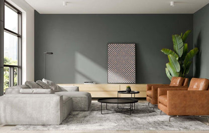 Feature Panel Starlink