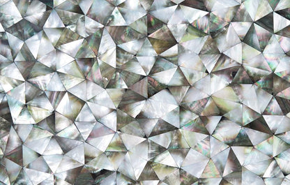 Feature Panel Whisper