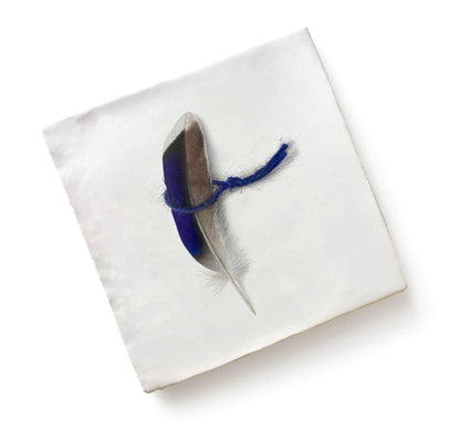 Menagerie Ceramic By Michael Angove