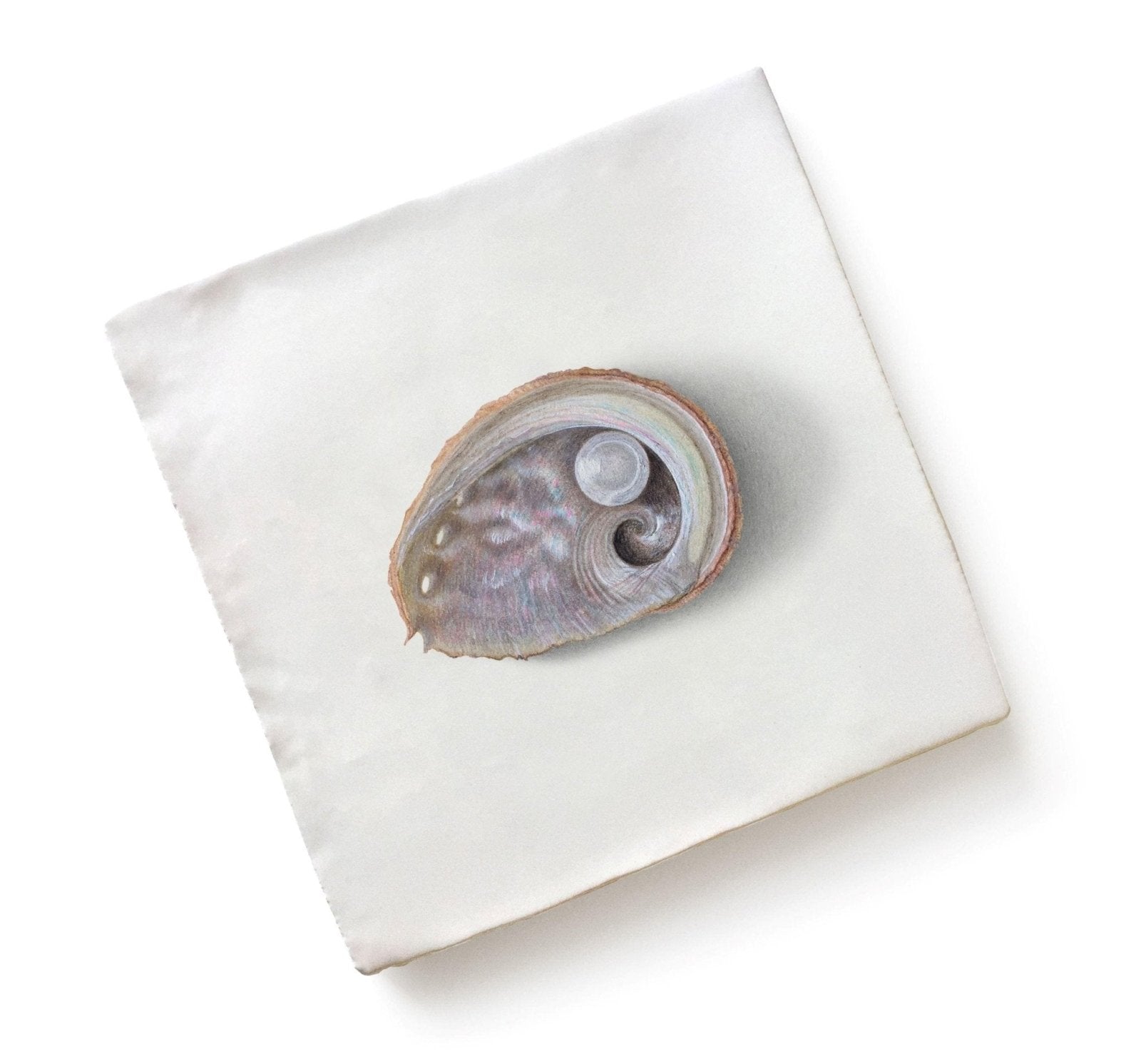 Menagerie Ceramic By Michael Angove - Hyperion Tiles