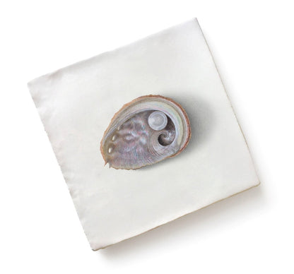 Menagerie Ceramic By Michael Angove - Hyperion Tiles