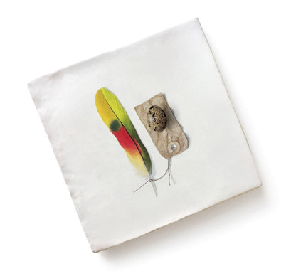 Menagerie Ceramic By Michael Angove - Hyperion Tiles