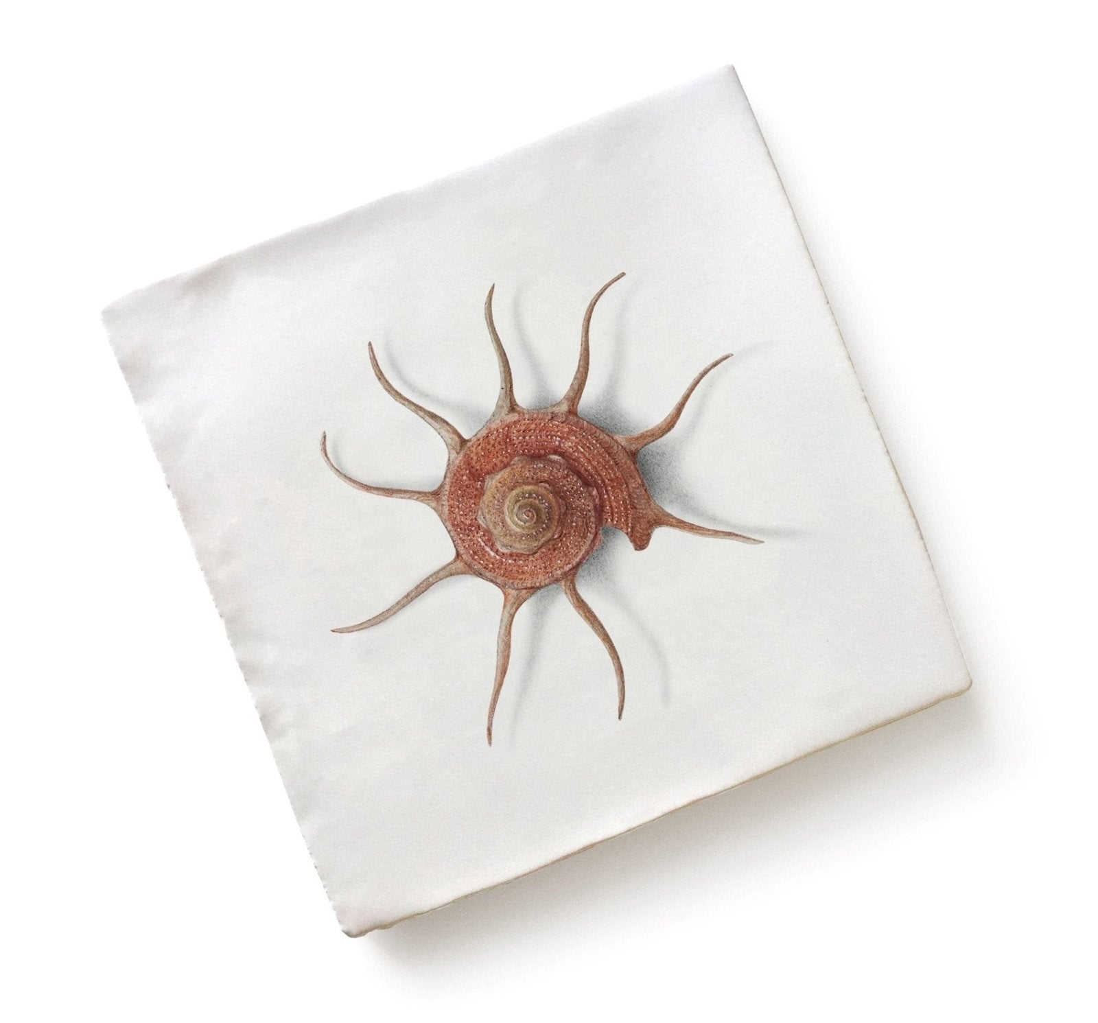 Menagerie Ceramic By Michael Angove