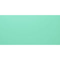 Mississippi Clear Glass 398 x 198mm solid mint green glass tile