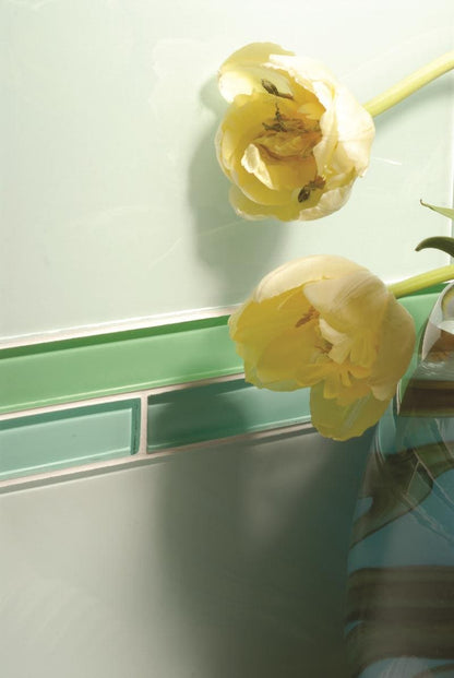 Mississippi Clear Highlight Strip