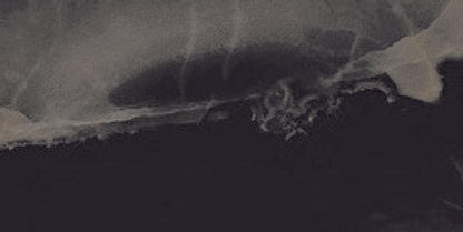 Onyx Black in Polished and Matt Tiles