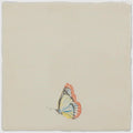A delicate hand-painted butterfly with orange-edged blue veins on translucent wings on a cream ceramic tile in painted beauty pastel on palomino