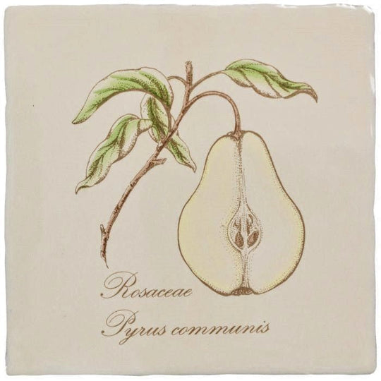 Pear on Palomino