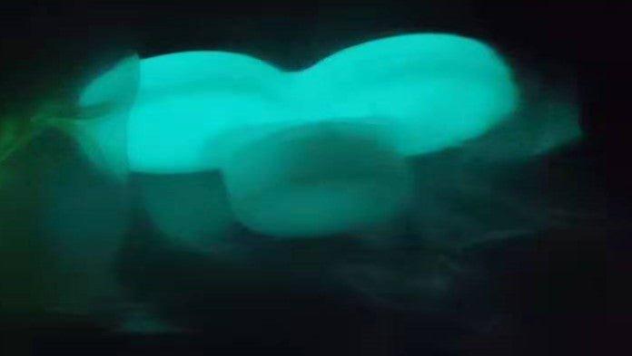 Perflex P30 Luminous Blue