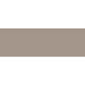 Sala Clear Glass 300 x 100mm solid taupe glass tile