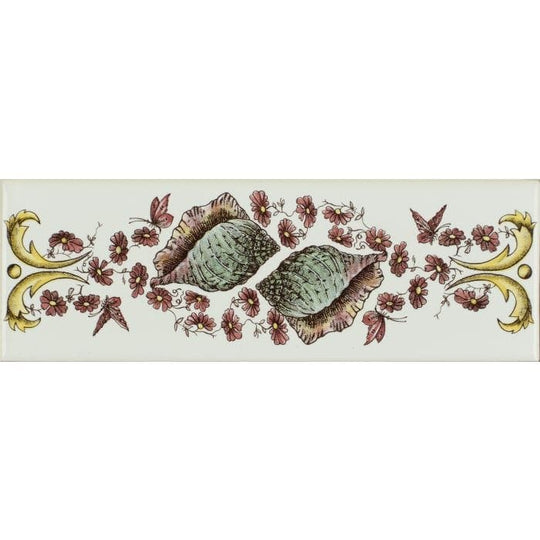 Seashells Border Classical Decorative Border on Brilliant White