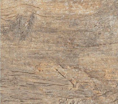 Twelvenoon Daylight Natural