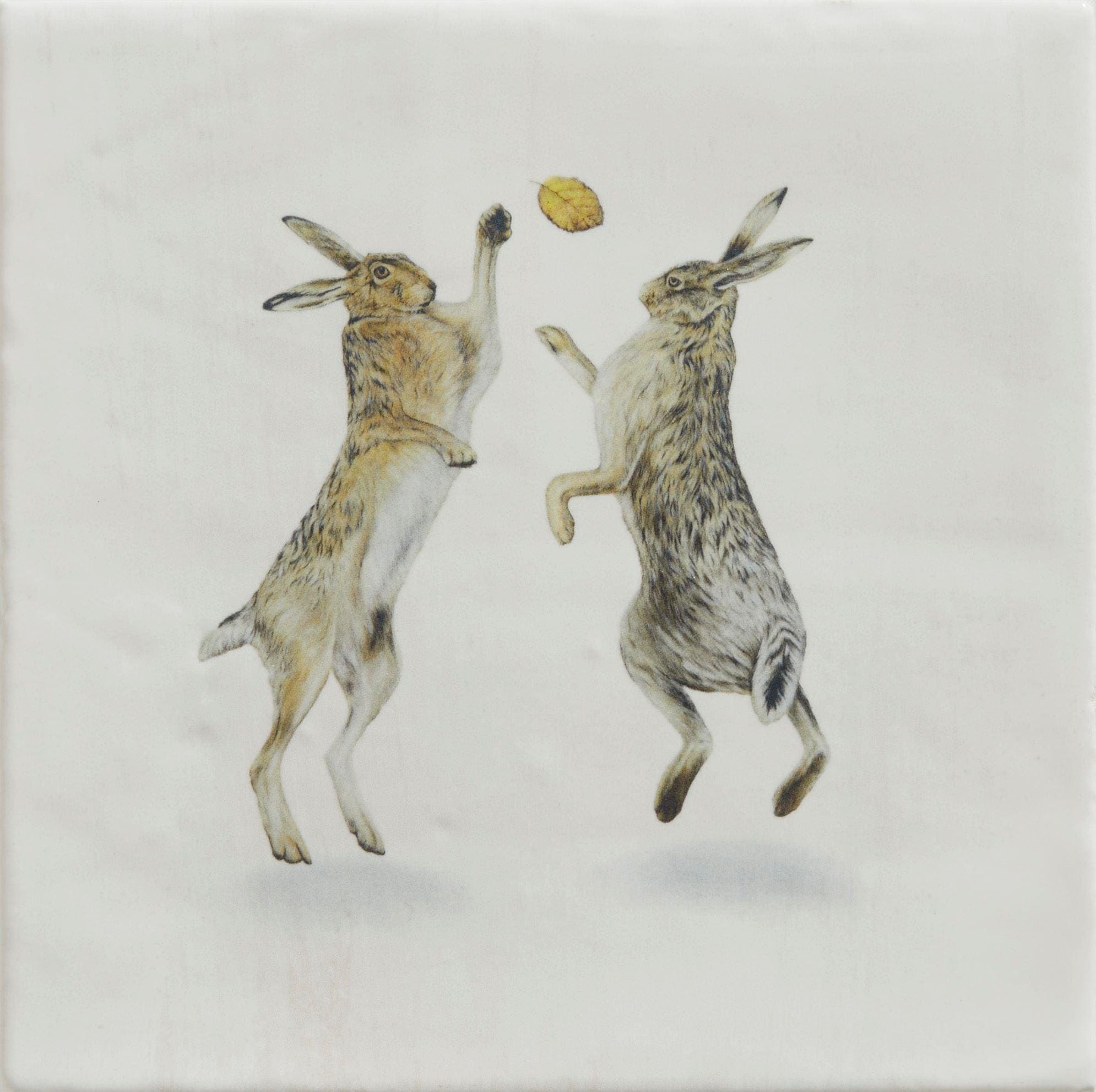 Wiltshire Hares By Joanna May
