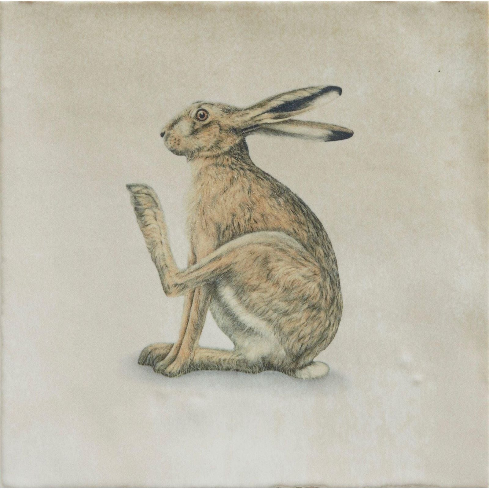 A detailed illustration of a sitting brown hare with long ears in soft earth tones on textured paper by Joanna May