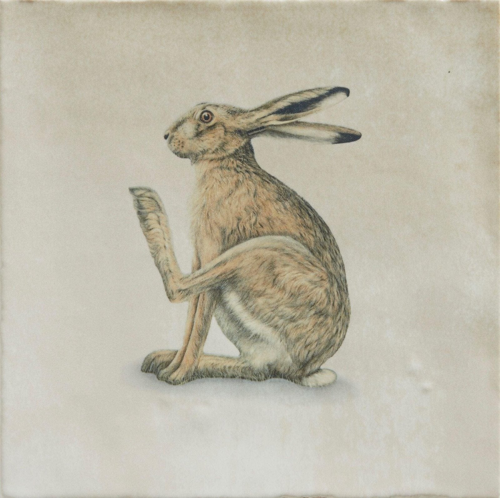 Wiltshire Hares By Joanna May