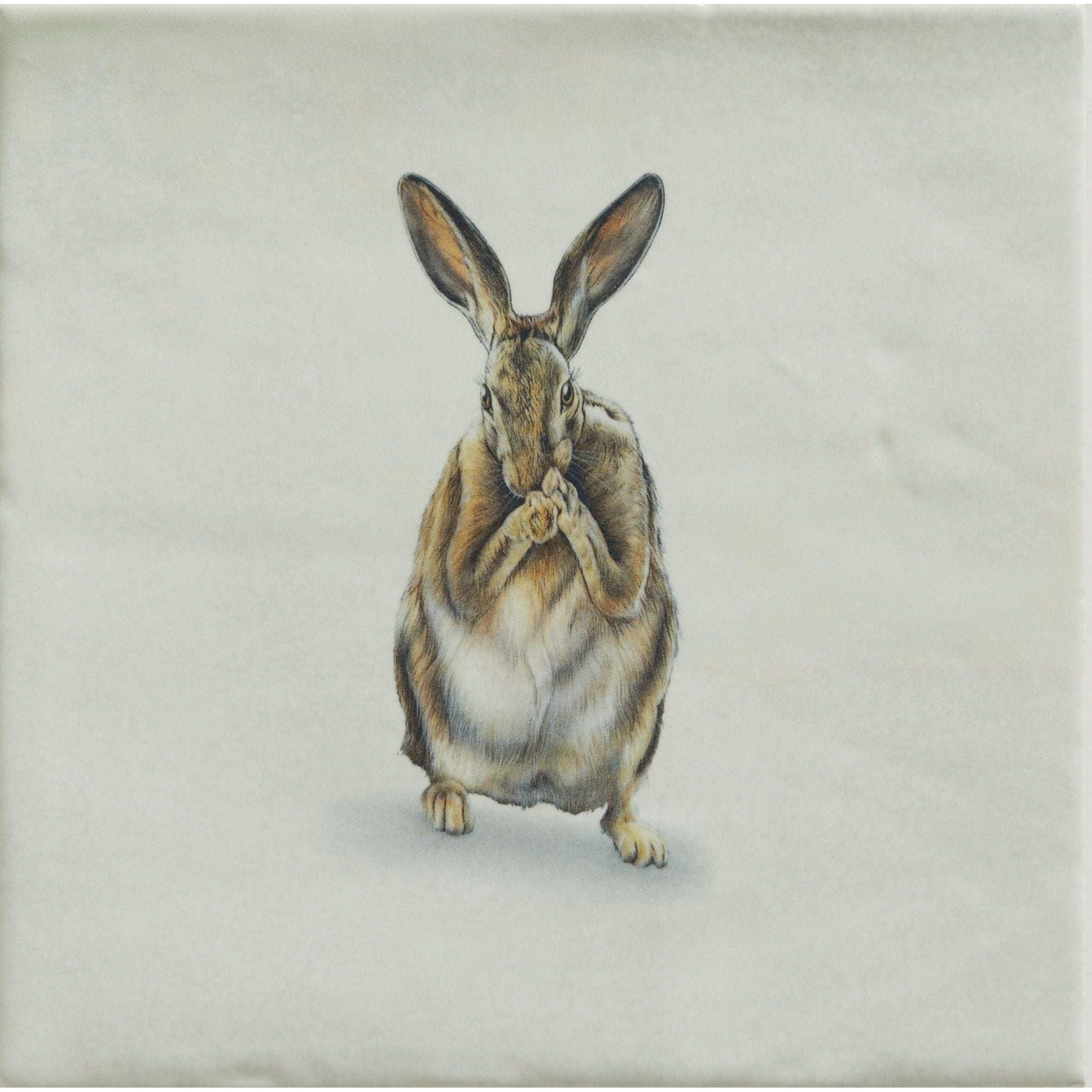 A detailed illustration of a hare with brown and white fur standing upright on its hind legs from wiltshire hares by joanna may