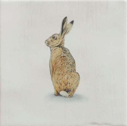Wiltshire Hares By Joanna May