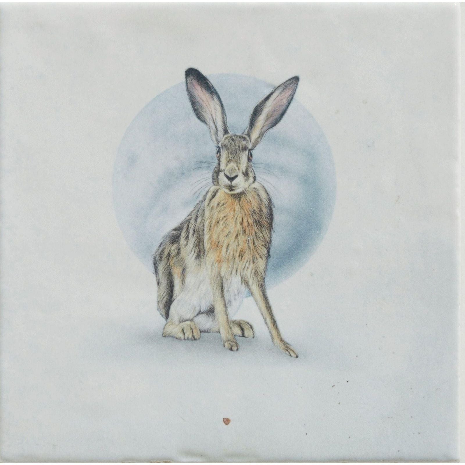 Detailed illustration of a brownish-gray hare with long ears on a blue background printed on a square ceramic tile