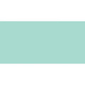 Zambezi Clear Glass 600 x 300mm mint green glass tile